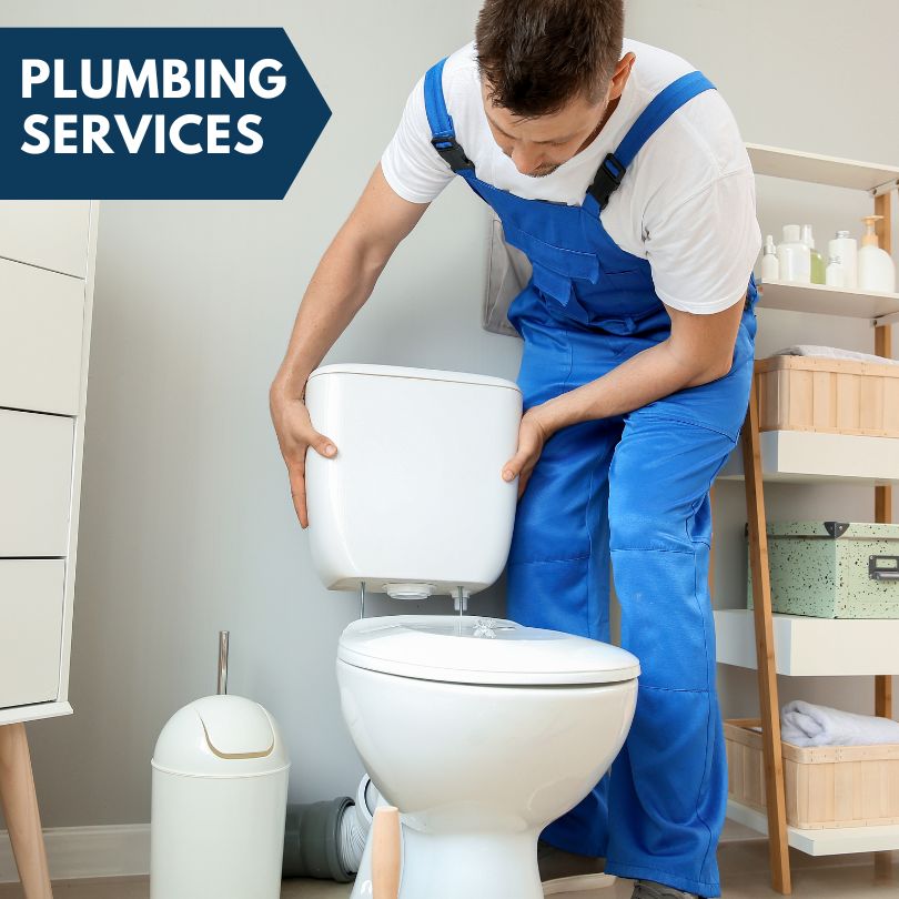 Plumbing Company in Bowlus, MN